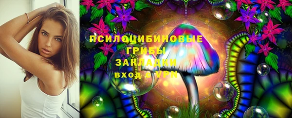 гашик Няндома