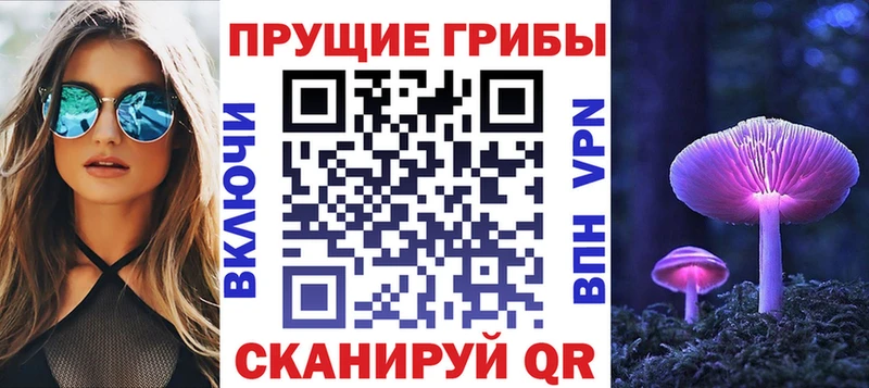 Псилоцибиновые грибы GOLDEN TEACHER  Купить закладки  Каневская 